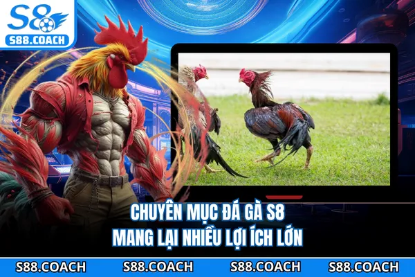 Chuyên mục đá gà S8 mang lại nhiều lợi ích lớn Chuyên mục đá gà S8 mang lại nhiều lợi ích lớn